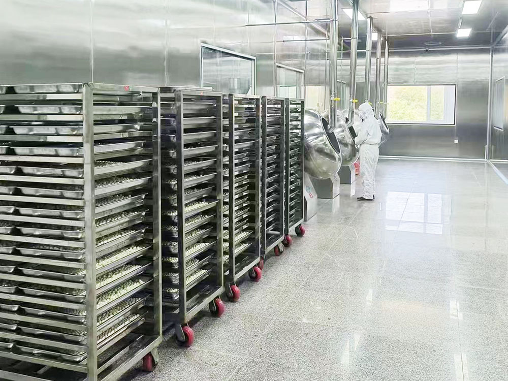 10萬(wàn)級(jí)凈化車(chē)間