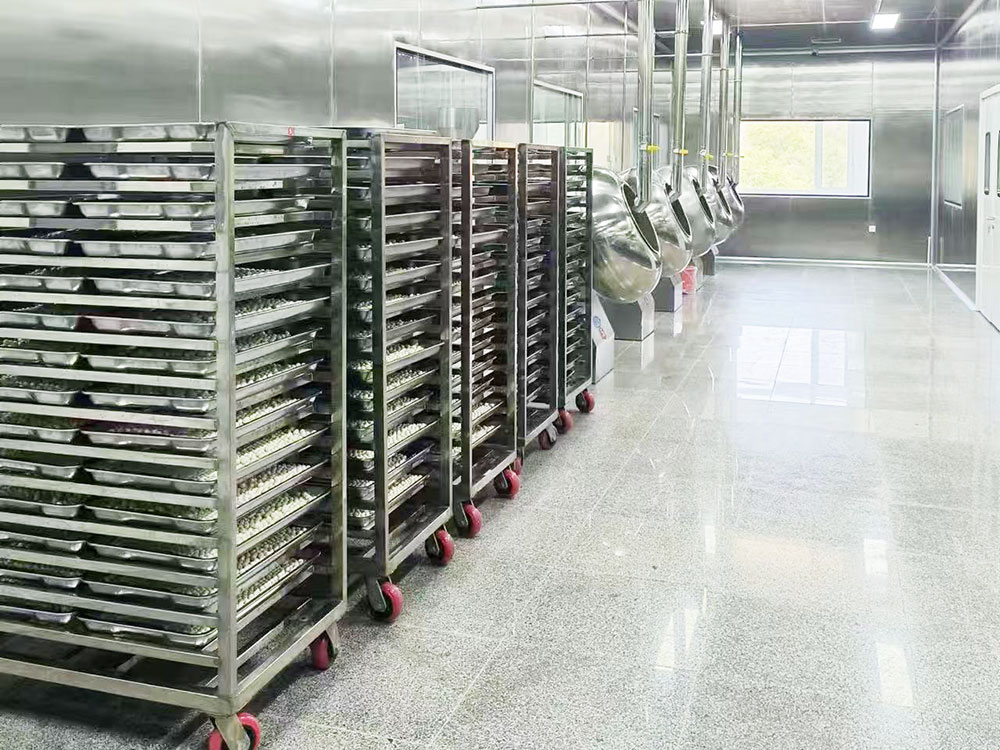 10萬(wàn)級(jí)凈化車(chē)間